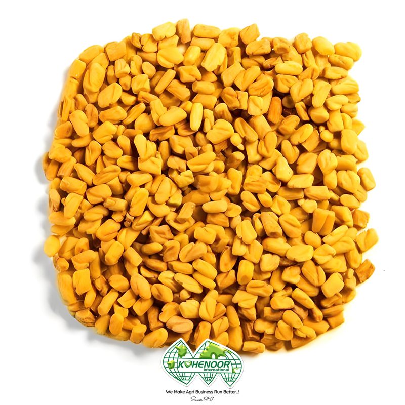 Fenugreek Seeds