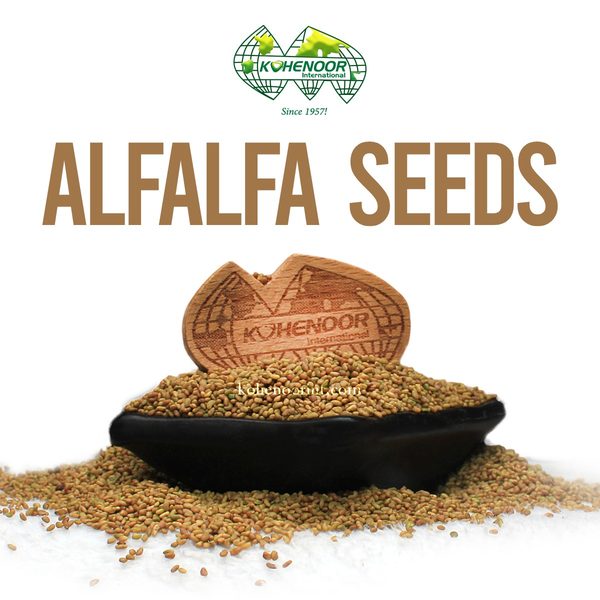 Alfalfa Seeds