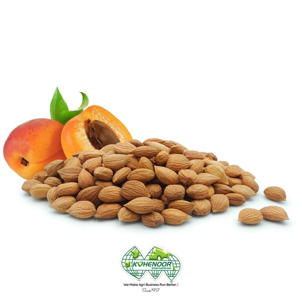 Apricot Dried (Whole Stones)