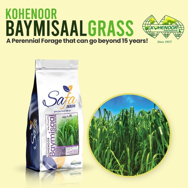 Kohenoor Baymisaal Grass