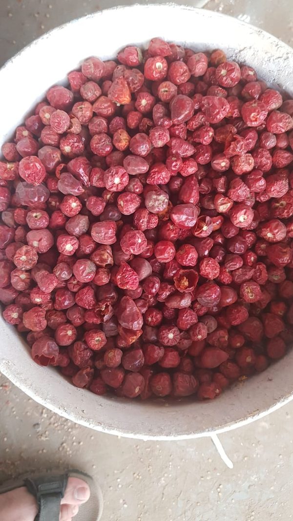 Long Chilli — Without Stem