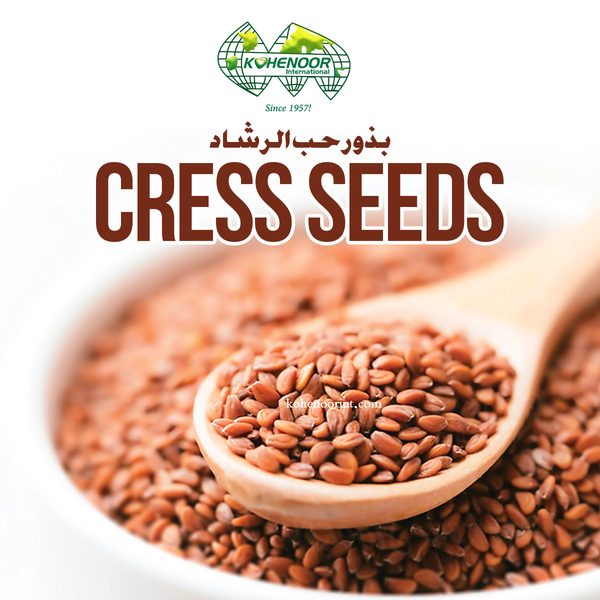 Garden Cress — sprouting