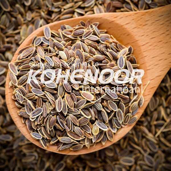 Dill — Unani digestive