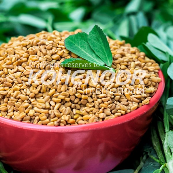 Fenugreek Seeds — diabetic nutra