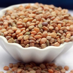 Guar Seeds — Kohenoor International Pakistan exporter