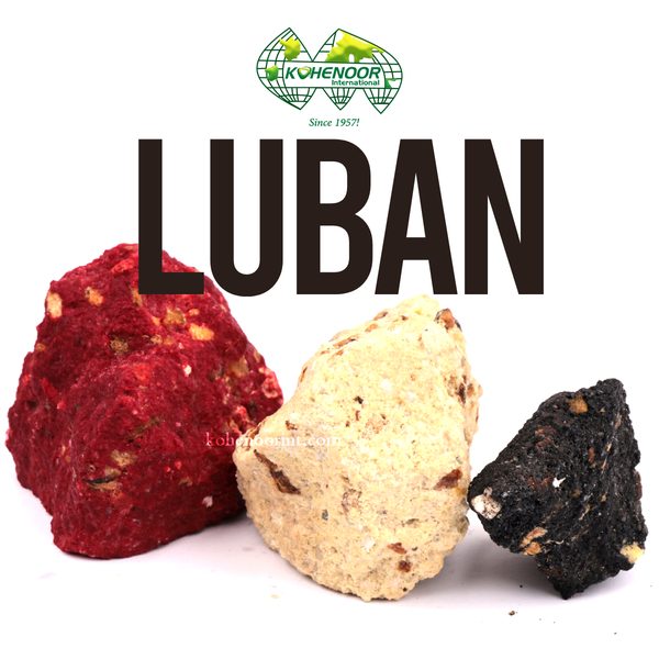 Frankincense (Luban) — United Arab Emirates buyers