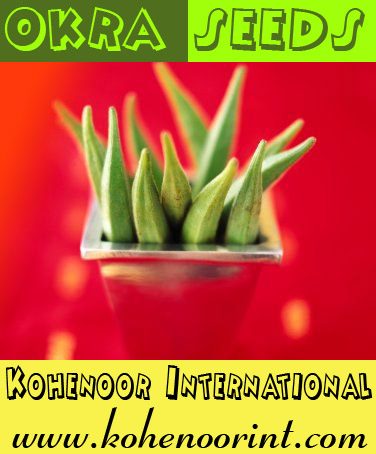 Okra Seeds