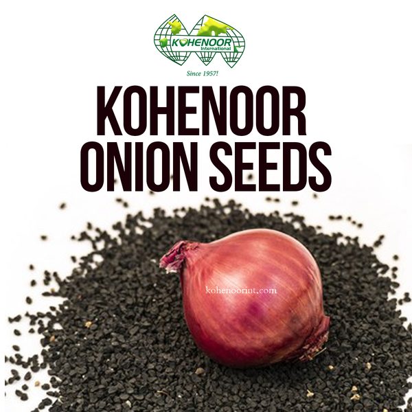 Onion Seeds