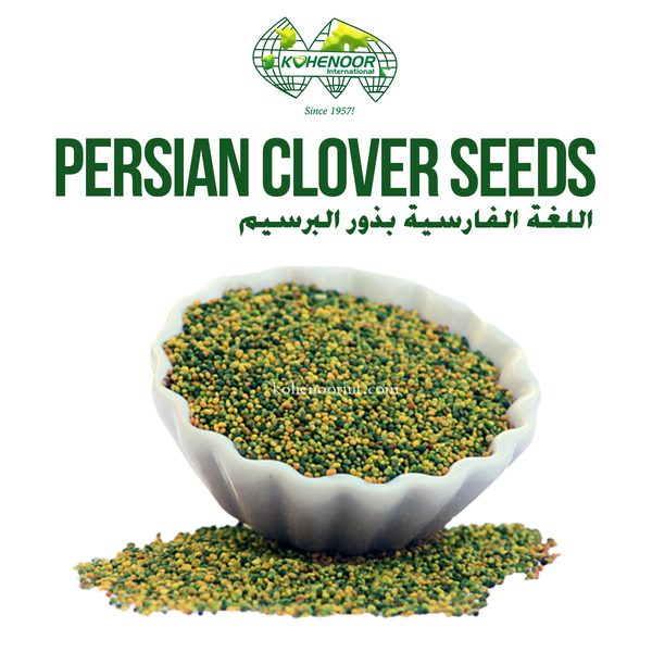 Persian Clover — dairy feed