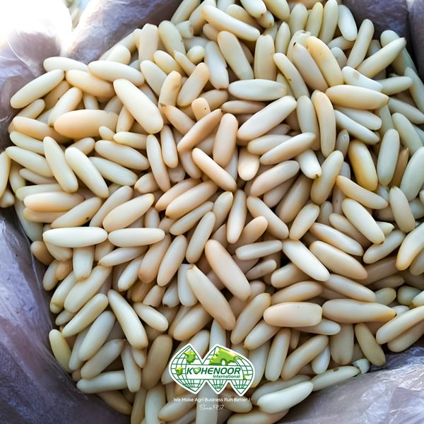 Pinenuts Kernels — EU Grade