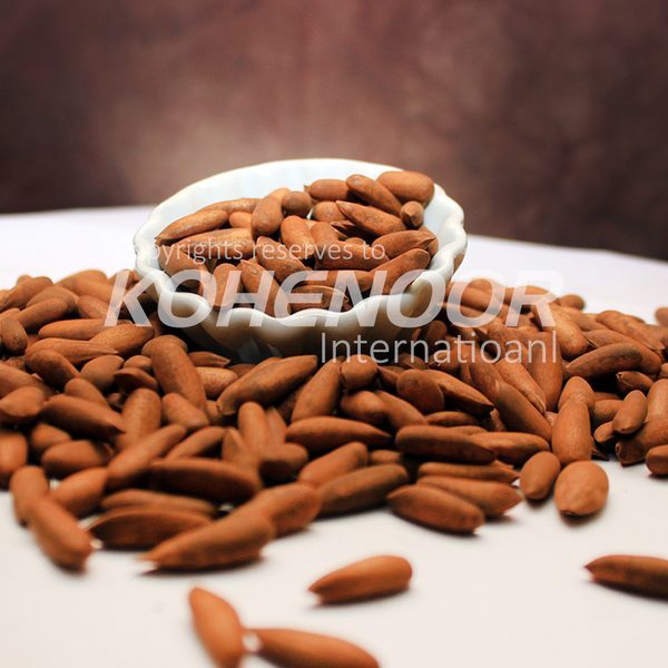 Pinenuts With Shell — Kohenoor International Pakistan exporter