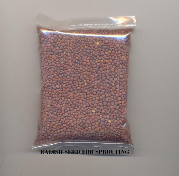 Radish Seeds