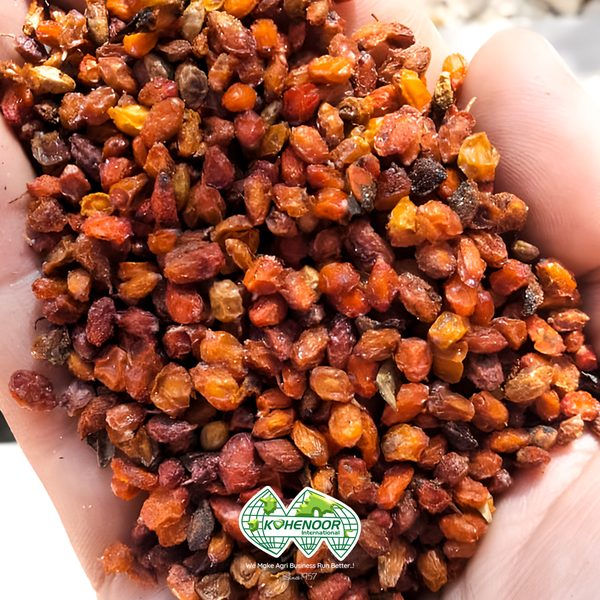 Sea Buckthorn — Juice