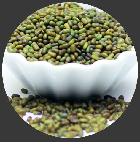 Sesbania Janter — green manure