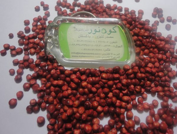 Sorghum Seed — feed grain